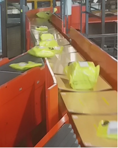 Upgraded sortation system