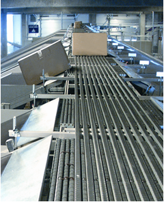 Upgraded sortation system